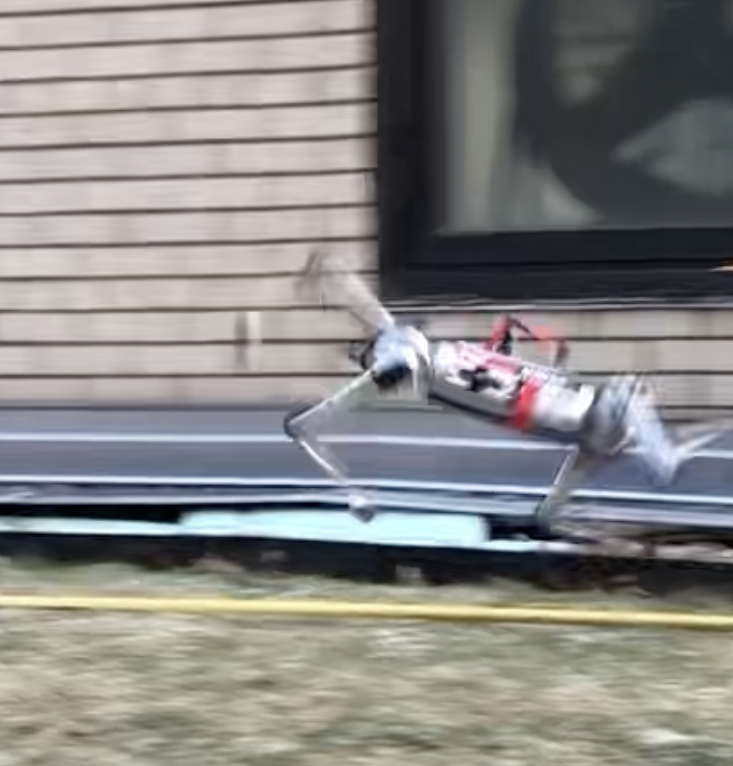 Rapid Locomotion via Reinforcement Learning